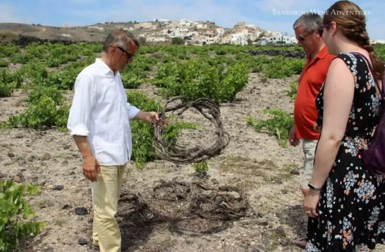 Santorini Private Wine Tour