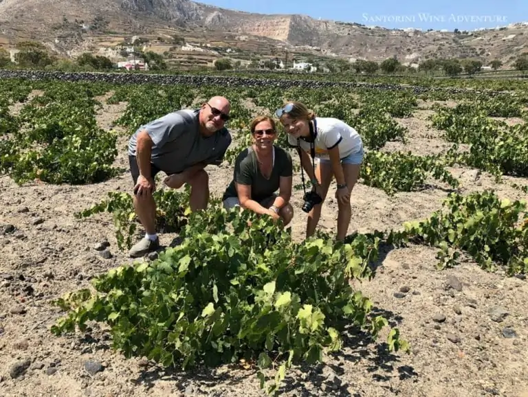 Santorini Private Wine Tour